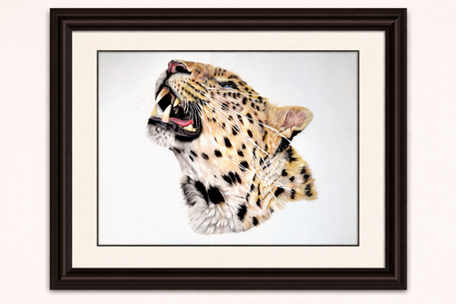 "Defiance" — Original Amur Leopard Coloured Pencil Illustration Hand and Heart Art Studio