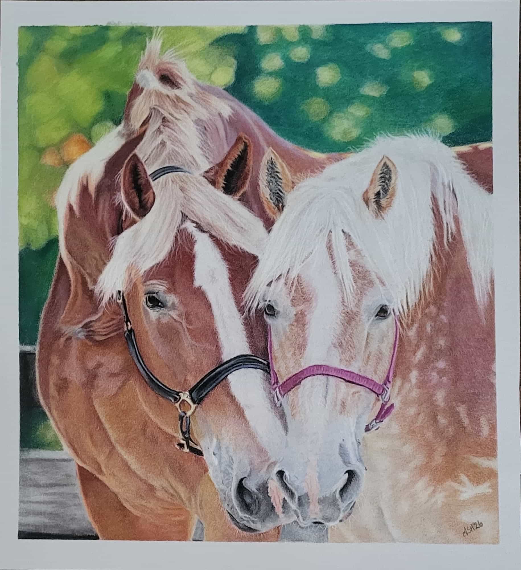 Big John & Stardust: Rescued Horses Art Print