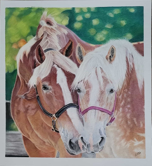 Big John & Stardust: Rescued Horses Art Print - 100% Proceeds to Horse Rescue
