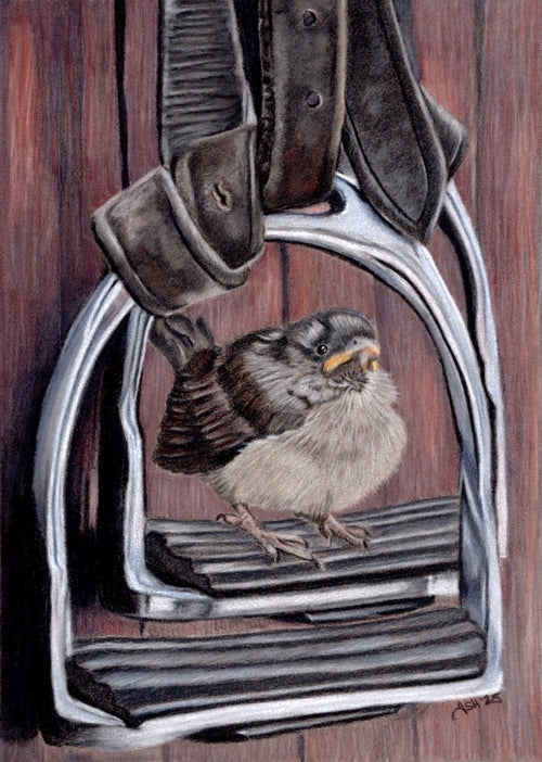 Bird Art Print-Hand Drawn Illustration