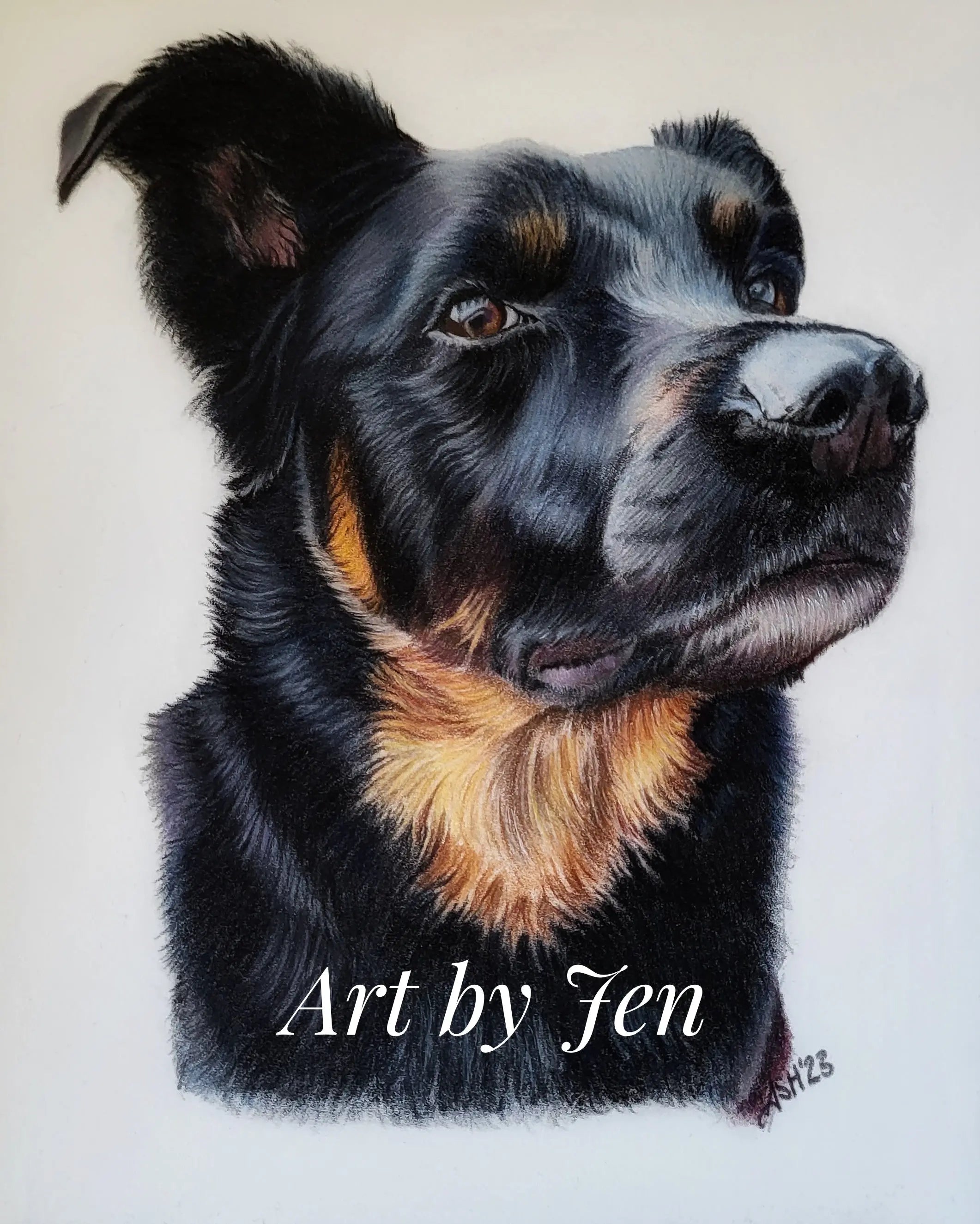 Custom Pet Portrait Commission - Hand Drawn Coloured Pencil Art Hand and Heart Art Studio