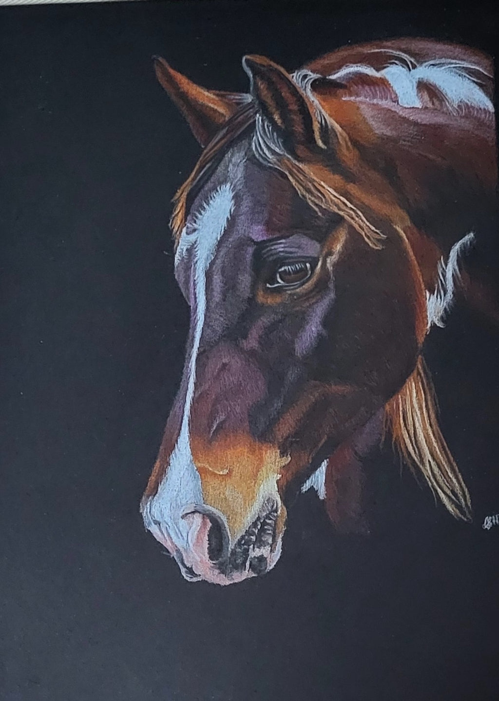 Wild Horse Art Print-Hand Drawn Illustration