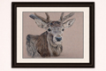 The Stag Art Print| Hand-Drawn Coloured Pencil Illustration Hand and Heart Art Studio