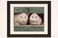 Cute Pigs Art Print - Hand Drawn Farm Life Illustration Hand and Heart Art Studio